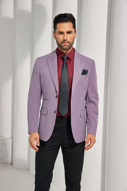 Designer Style New Men's Two Button Blazer Wehilion